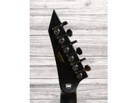 ESP E-II Horizon NT-II BPG ESP E-II Horizon NT-II BPG